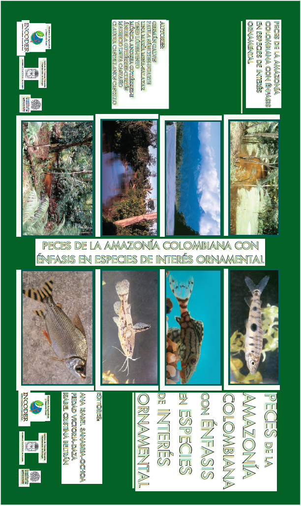 Peces amazonas ornamentales Colombia